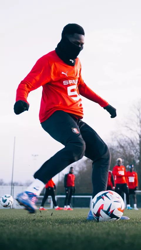 Stade Rennais F.C.